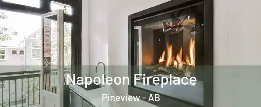  Napoleon Fireplace Pineview - AB