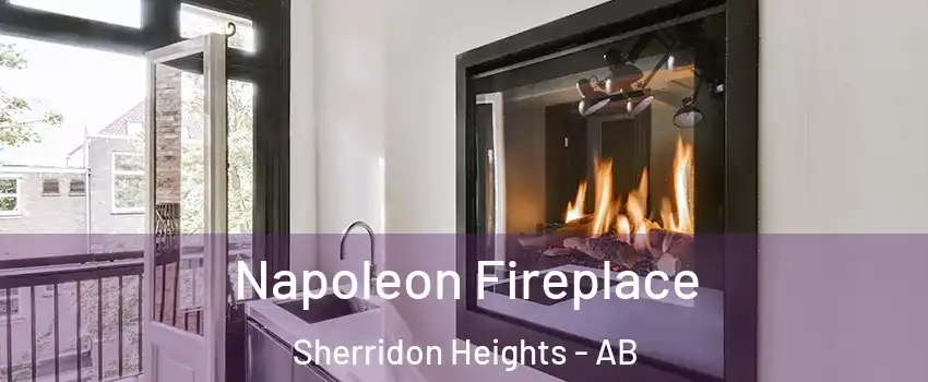  Napoleon Fireplace Sherridon Heights - AB