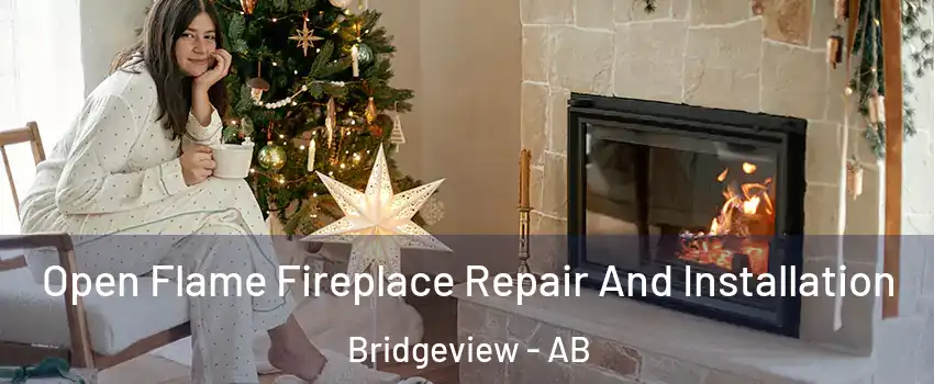  Open Flame Fireplace Repair And Installation Bridgeview - AB