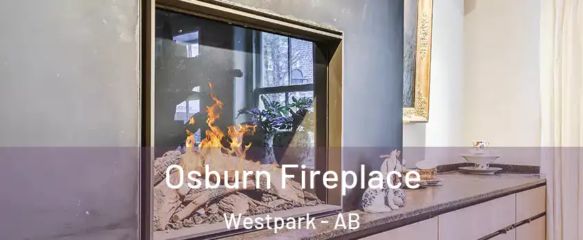  Osburn Fireplace Westpark - AB