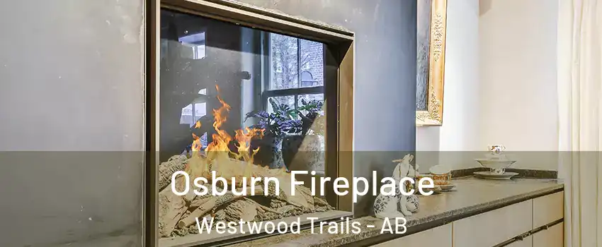  Osburn Fireplace Westwood Trails - AB