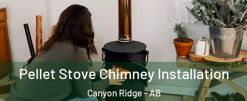 Pellet Stove Chimney Installation Canyon Ridge - AB