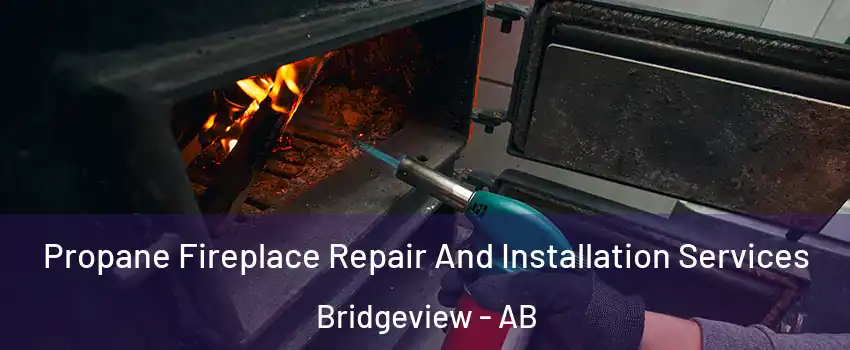  Propane Fireplace Repair And Installation Services Bridgeview - AB