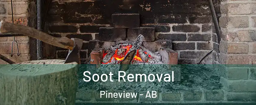  Soot Removal Pineview - AB