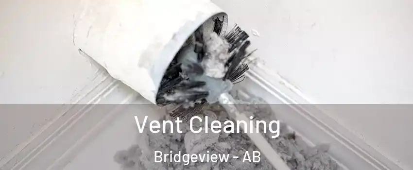 Vent Cleaning Bridgeview - AB