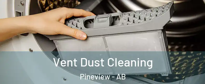  Vent Dust Cleaning Pineview - AB