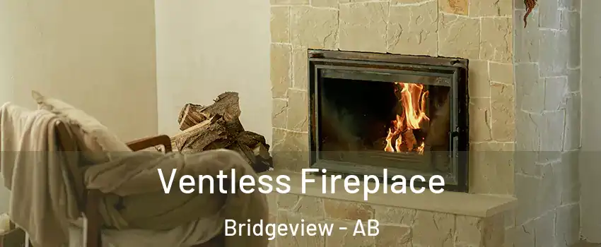  Ventless Fireplace Bridgeview - AB
