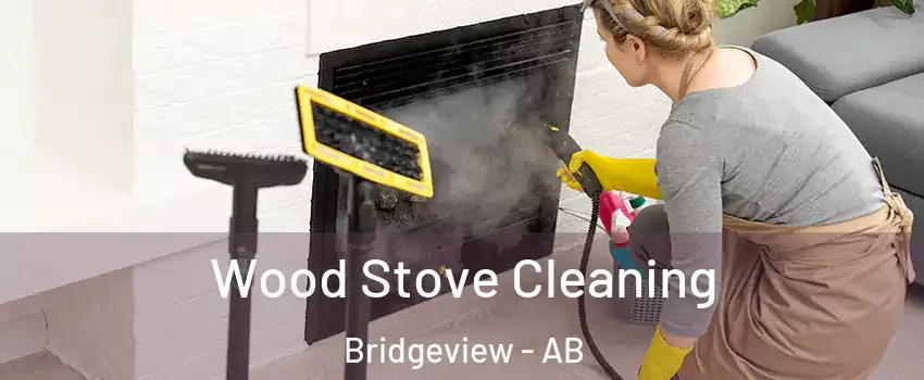  Wood Stove Cleaning Bridgeview - AB