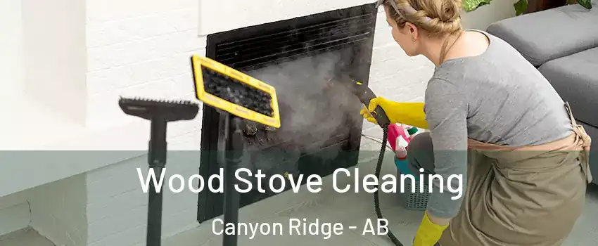  Wood Stove Cleaning Canyon Ridge - AB