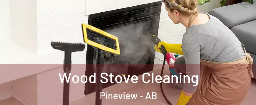  Wood Stove Cleaning Pineview - AB