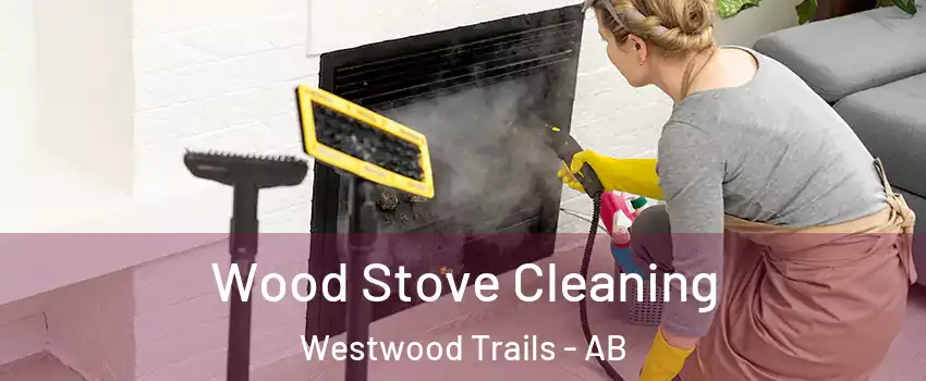 Wood Stove Cleaning Westwood Trails - AB